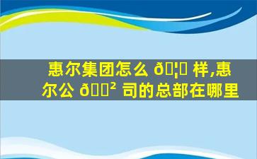 惠尔集团怎么 🦉 样,惠尔公 🌲 司的总部在哪里